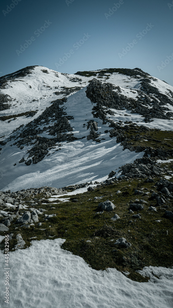 Obraz premium Luces de invierno sobre la fría nieve