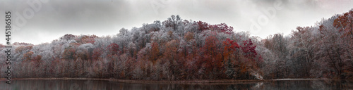 Icy fall trees with lake