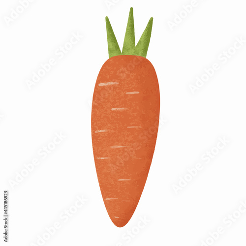 Carrot vegetable flat illustration on white background vector illustration.