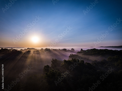 Sunrise over foggy forest