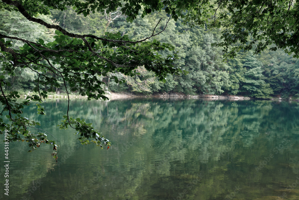 green lake in the forest in the mountains. background travel and adventure green lake in the forest in the mountains. background travel and adventure