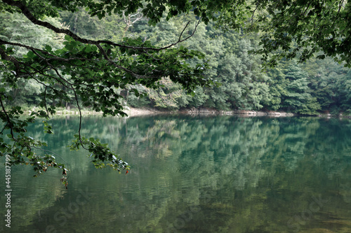 green lake in the forest in the mountains. background travel and adventure