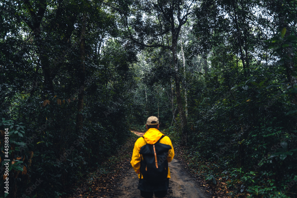 Obraz premium Man hiking and exploring forest area