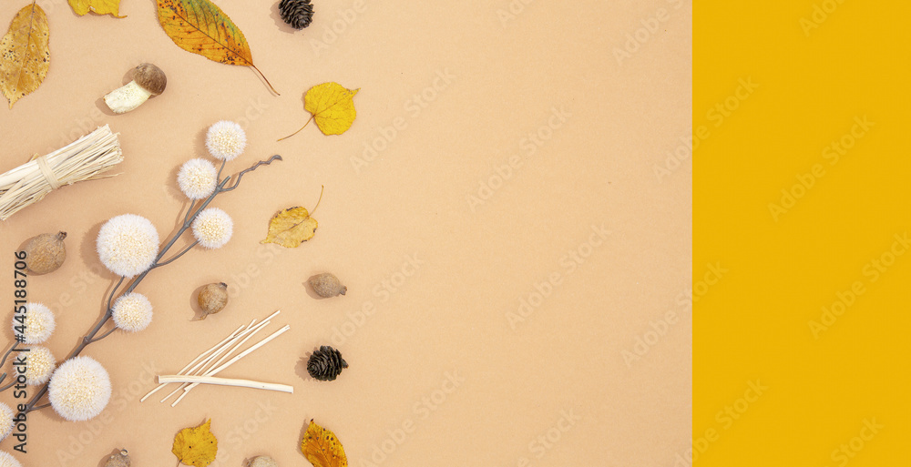Fototapeta premium Fall Winter flat lay art. Autumn decor brunch, leaf and mushrooms. Trendy brown and beige colours shades. Seasonal banner