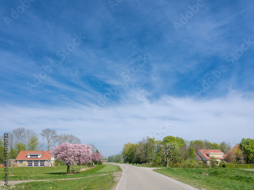 Country road, Flevoland Province, The Netherlands photo