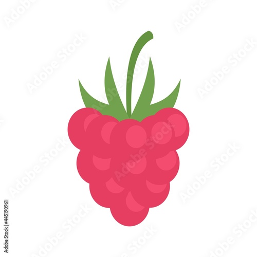 Natural raspberry icon flat isolated vector
