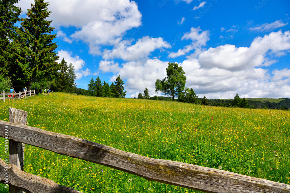 alpe di villandro It is the second largest mountain pasture in Europe tyrol italy alpe di villandro It is the second largest mountain pasture in Europe tyrol italy