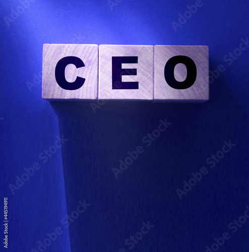 CEO letters wood cubes Chief ExecutiveOfficer on red. General Director concept photo