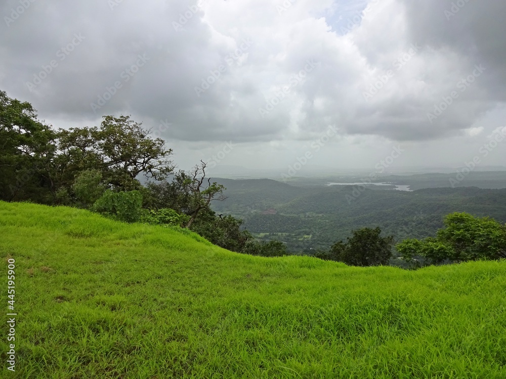 clouds over the forest