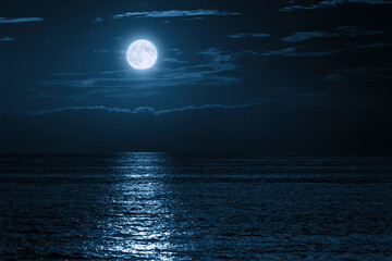 Fototapete Vollmond Blauer Vollmond über ruhigem Ozean  © ricardoreitmeyer
