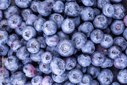 Fresh blueberry background....