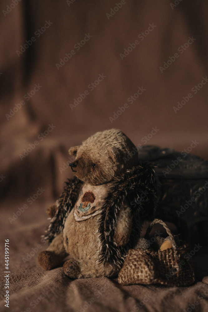 Obraz premium teddy bear
