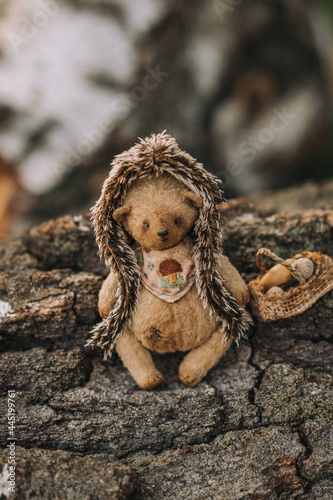 Fototapeta Naklejka Na Ścianę i Meble -  teddy bear in the woods