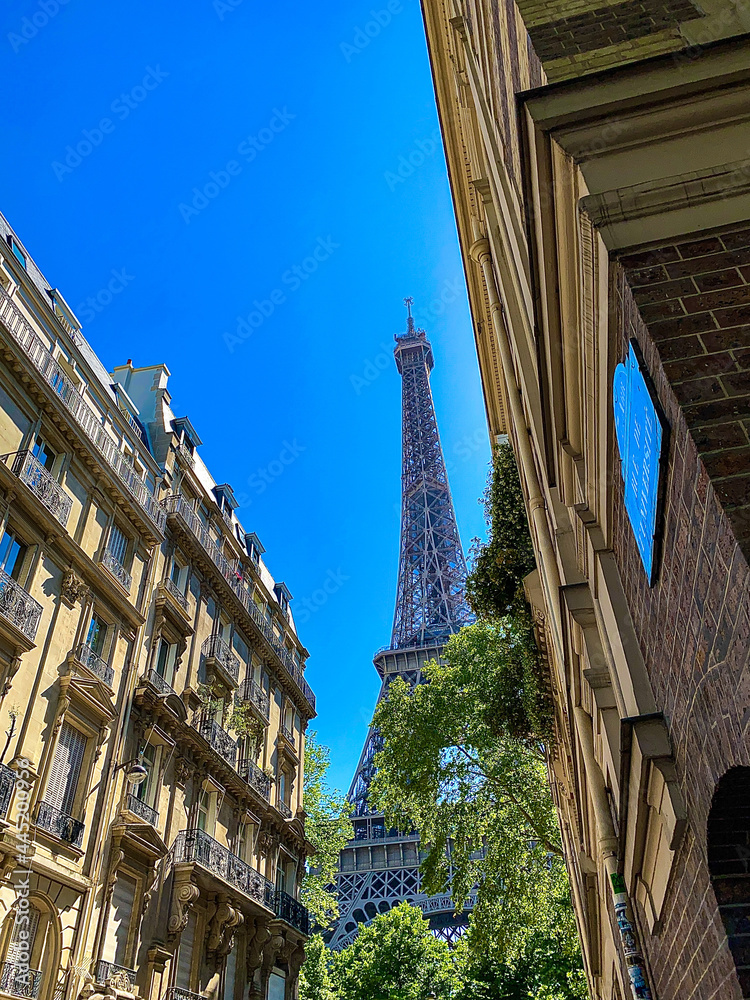 Fototapeta premium eiffel tower