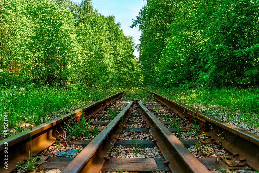 Abandoned railway tracks in the forest. Abandoned railway tracks in the forest.