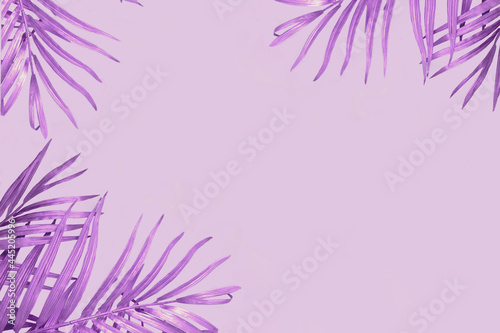 Decorative Border Frame Purple Violet Shiny  Leaves  © Visual Soup