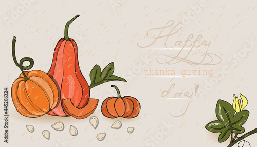 pumpkin banner thanks giving day horizontal background orange green illustration seeds plant pumpkin dish recipe doodle retro vintage halloween