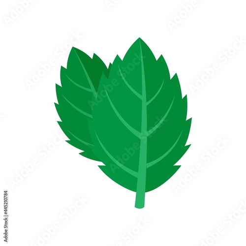 Mint icon flat isolated vector