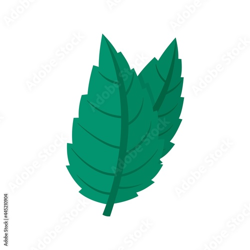 Eco mint icon flat isolated vector