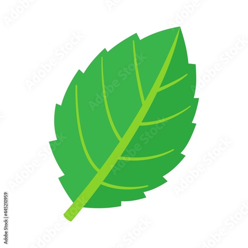 Mint leaf plant icon flat isolated vector