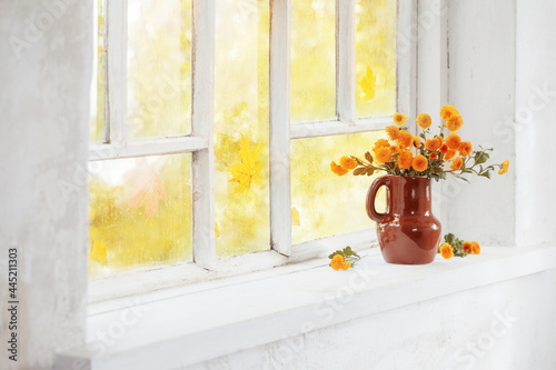 chrysanthemums in vase on windowsill in autumn