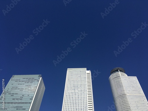 skyscrapers in the city