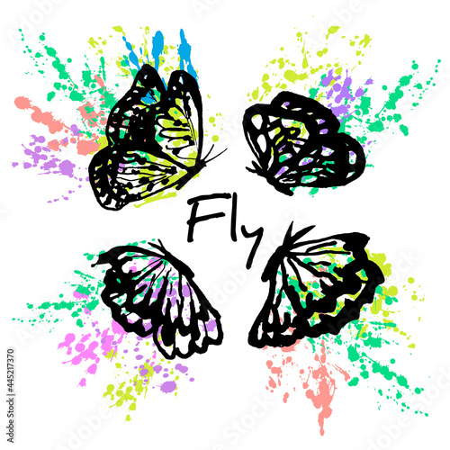 Vector linear drawn illustration with four exotic, tropical butterflies flying around the text. Background of splashing drops. The concept tropical flying insects with beautiful wings, nature, romance photo