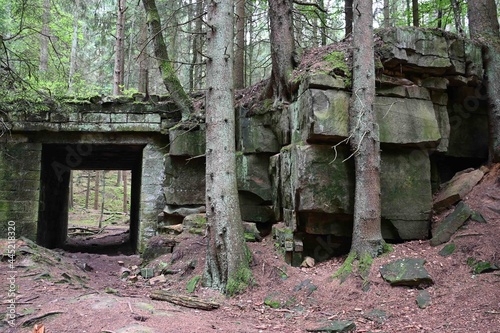 Lost place: Alte Eisenbahnbrücke auf dem Bückeberg umgeben von dunklen Tannen photo