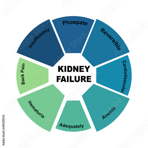 Diagram concept with Kidney Failure text and keywords. EPS 10 isolated on white background