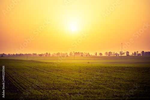 A summer sun rising in a very hazy morning with lots of dust particles in the air. Misty sunrise. Summertime scenery of Northern Europe.