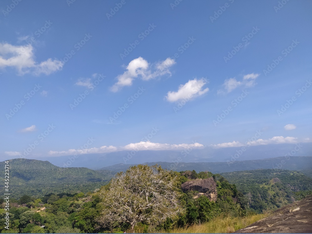 Naklejka premium landscape with blue sky