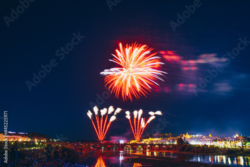 Colorful fireworks explosion on the black background © Pablo