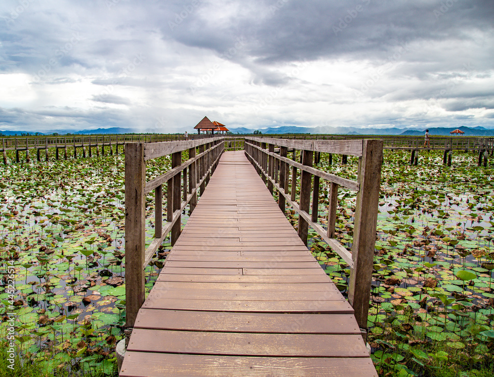 Fototapeta premium Sam Roi Yot Freshwater Marsh, Walk over the marsh, Bueng Bua Wood Boardwalk in Sam Roi Yot national park in Prachuap Khiri Khan, Thailand