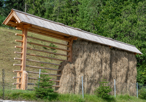 Traditional slovenian hayrack (Kozolec). Wooden construction for drying hay.