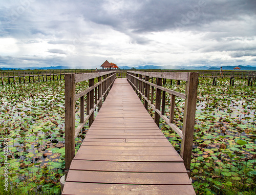 Sam Roi Yot Freshwater Marsh  Walk over the marsh  Bueng Bua Wood Boardwalk in Sam Roi Yot national park in Prachuap Khiri Khan  Thailand