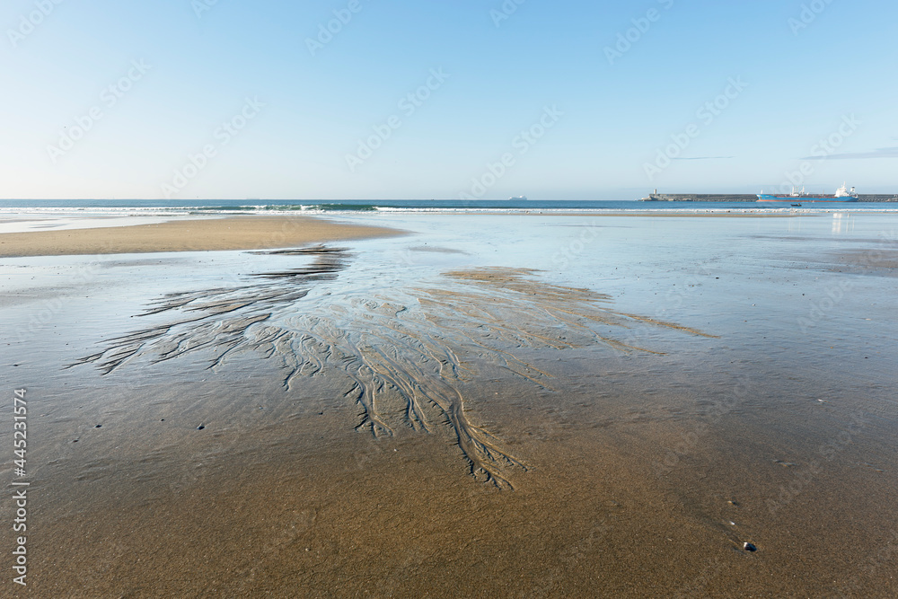 Obraz premium Sea beach during low tide