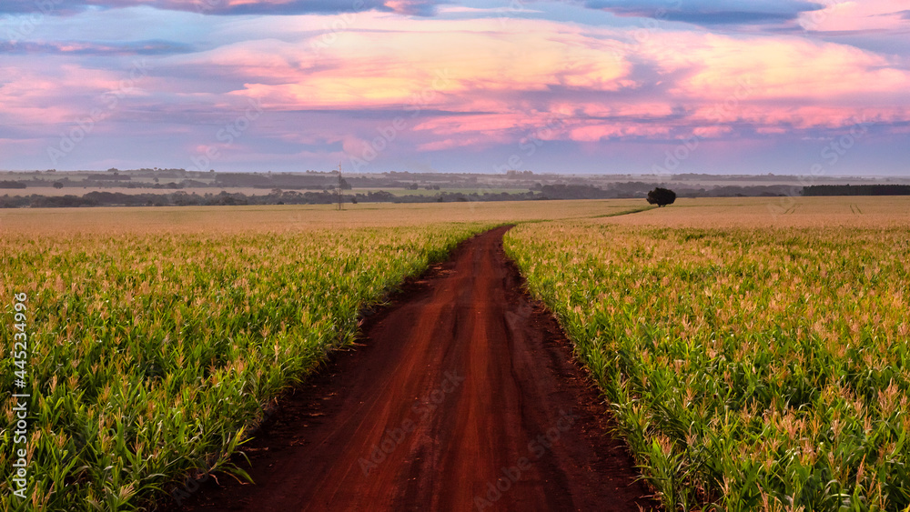 Country road. Country road.