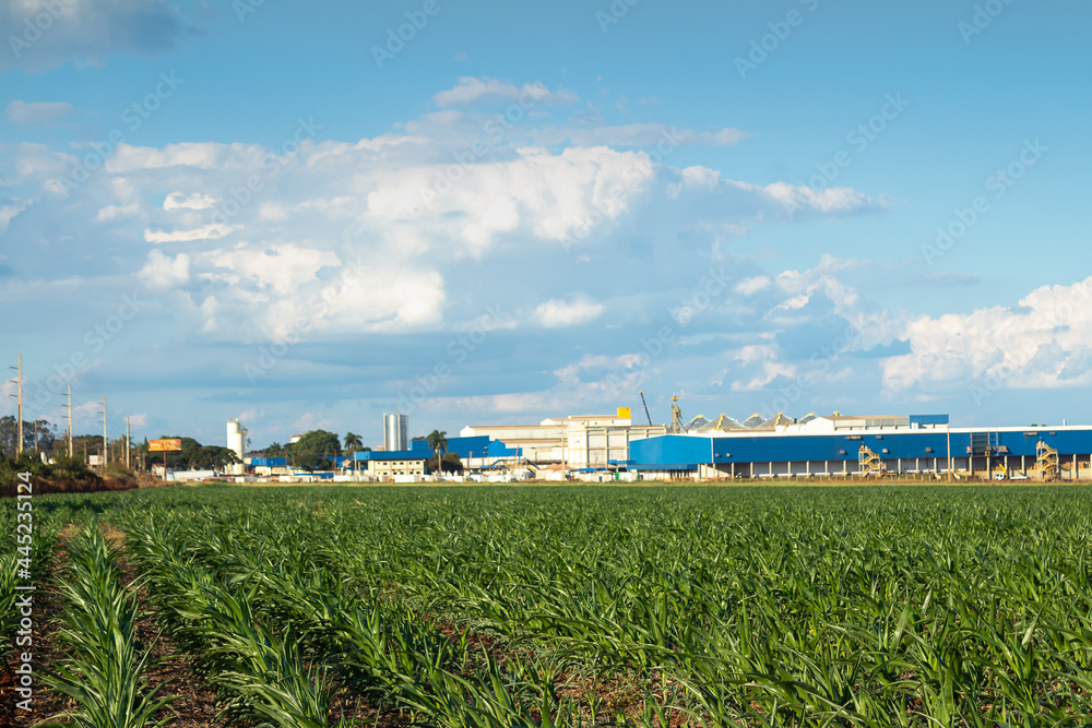 field industry field industry