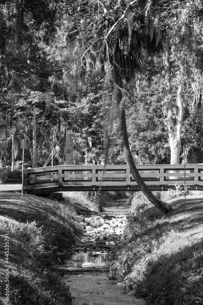 Wood bridge in the park