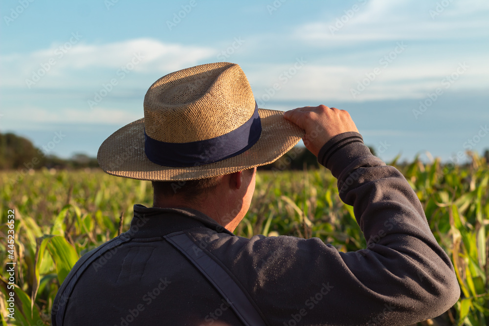 Farmer With Hat. Farmer With Hat.
