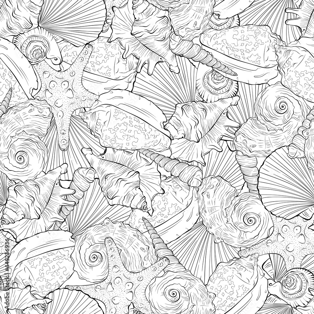 Marine seamless pattern from hand drawn spiral spiked sea shells and starfish. Nautical vector pattern in line art style isolated on white. Wallpaper, wrapping paper, textile design