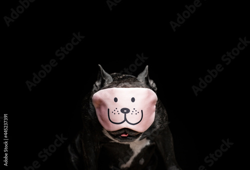 image of dog mask dark background 