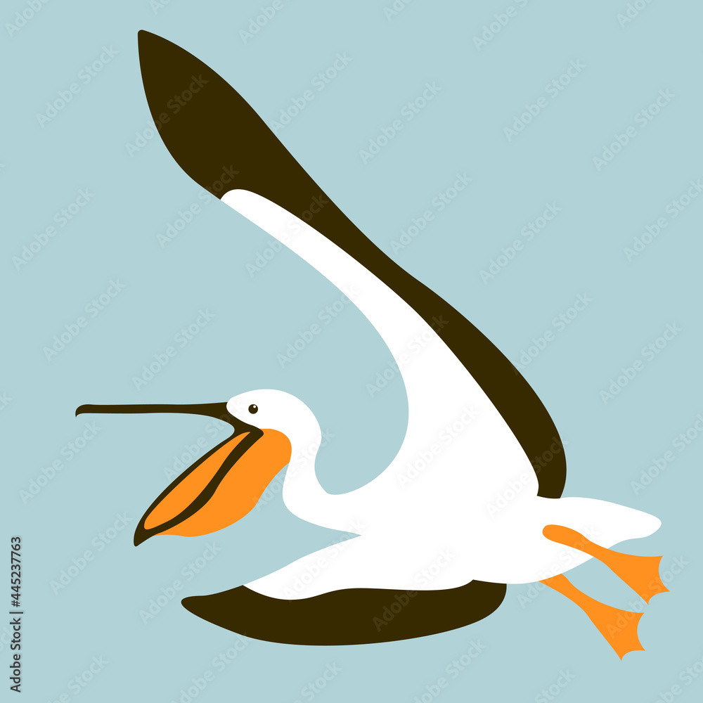 Obraz premium pelican vector illustration, flat style, side