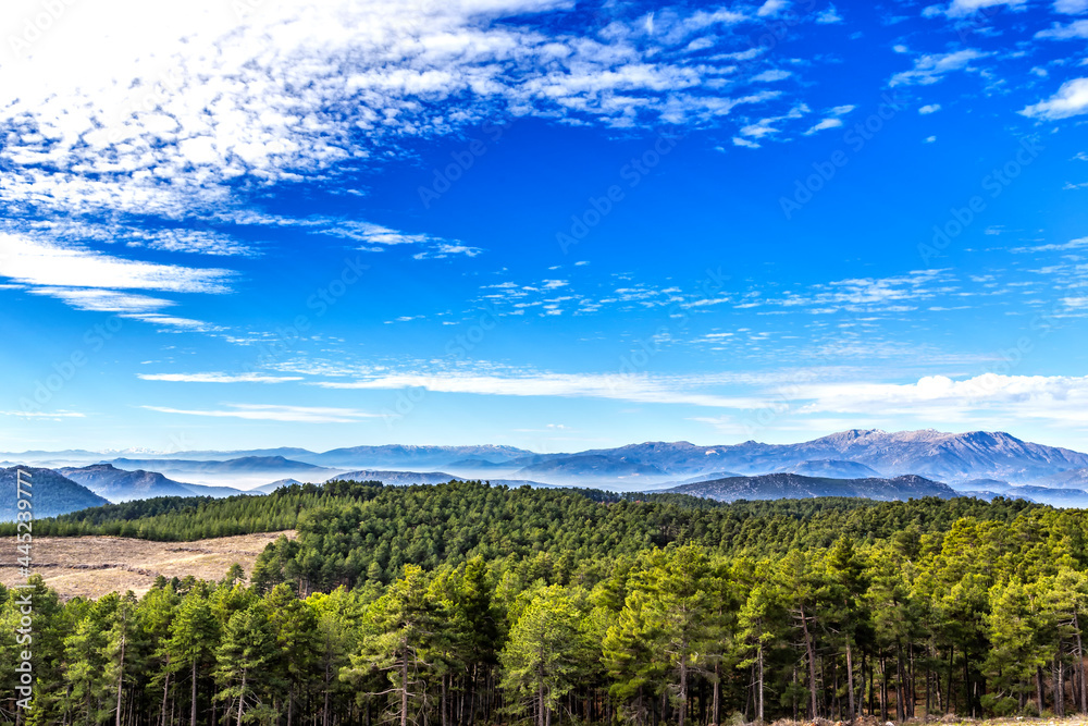 south of Turkey; fog, larch forests, clouds and valleys... south of Turkey; fog, larch forests, clouds and valleys...