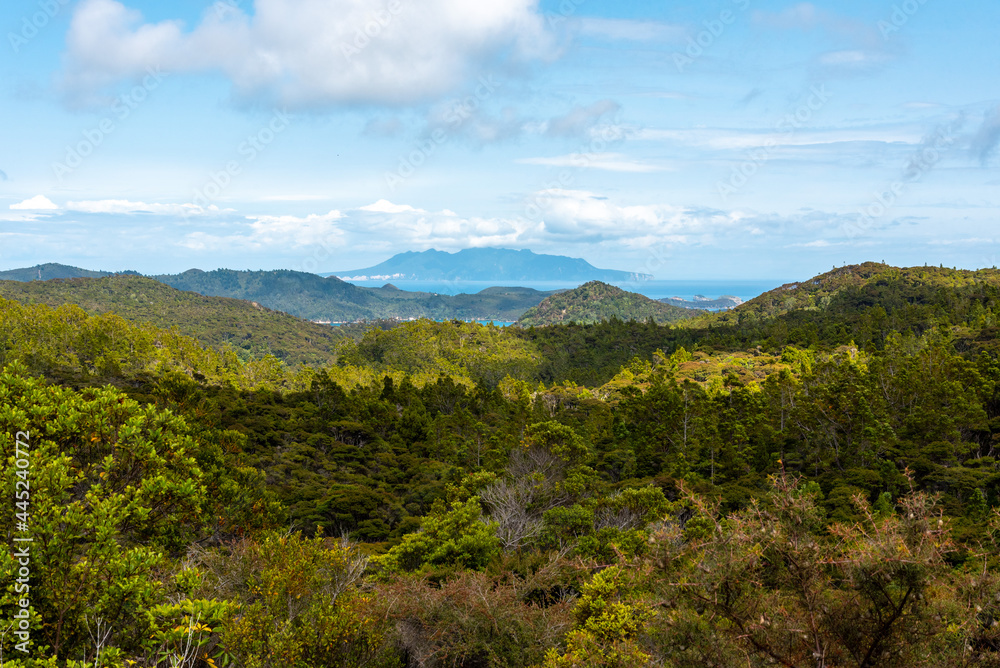 Rainforest and Coastline of Great Barrier Island