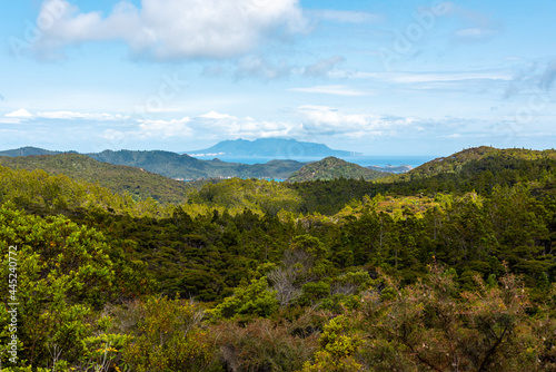 Rainforest and Coastline of Great Barrier Island