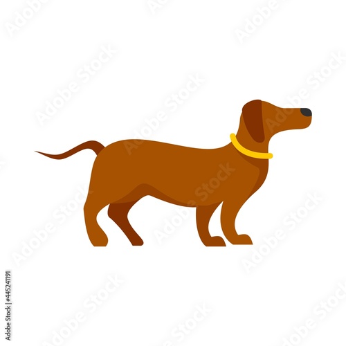 Sport dog training icon flat isolated vector