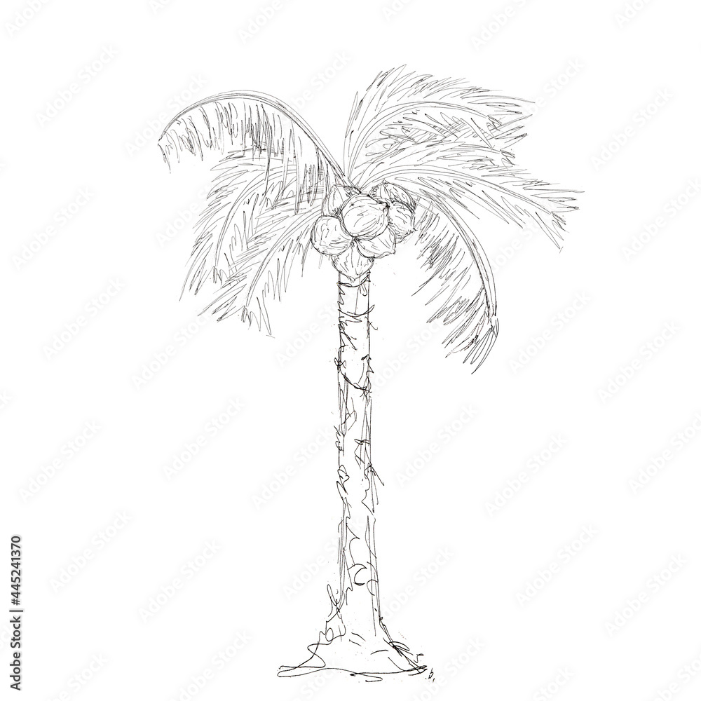 Fototapeta premium Watercolor Pirate adventure black sketched icon element isolated on white background