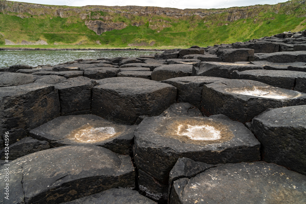 Giant's Causeway basalt rocks pattern in a beautiful summer day, Northern Ireland. The nature hexagon stones result of an ancient volcanic fissure eruption. Giant's Causeway basalt rocks pattern in a beautiful summer day, Northern Ireland. The nature hexagon stones result of an ancient volcanic fissure eruption.