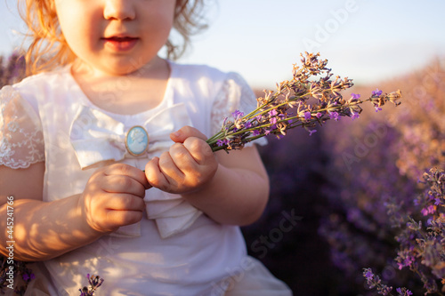 a child in a lavender field. The girl enjoys the smell and beautiful flowers. Purple bushes with essential oil. Love of nature, harmony, happiness and tranquility. close up